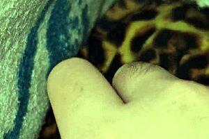 At dawn, secretly under the blankets, a steamy encounter unfolds