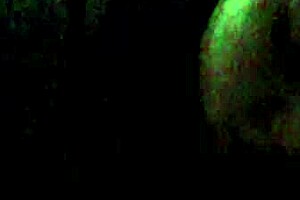 The girl makes a blowjob while her boyfriend is watching