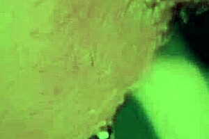 tight rear of my step sibling in homemade amateur asian scene