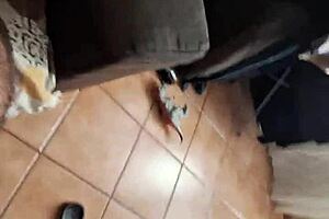 I licked my lover's pussy to orgasm then came on her face