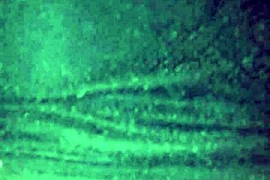 Big Ass Wife Joins Swingers Group!