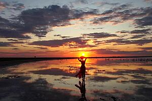 Mature Amateur Walks On Red Sunset At Elton Salt Lake