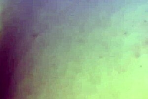 sexy phat booty smashed bareback