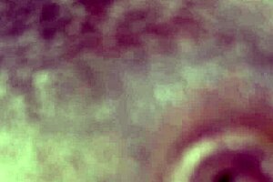 Rafayblanca margarita gonzalez victorio obeys commands