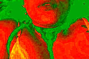Exotic Bluee reveals her wild pleasure face during intense licking