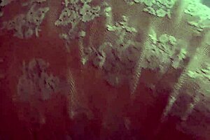 velvet milf enjoys squirting with toys