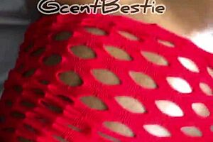 passionate fucking till she comes hard