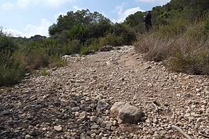 Fuck in the car in the woods with Aixmen and La Cubana!