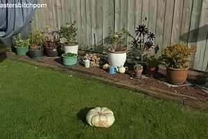 Trashy tattooed milf kiwi squats on massive pumpkin. She uses it as toilet seat in dirty backyard piercing play.