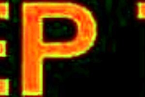 Tall big white cock tourist face fucks latina slut hard!