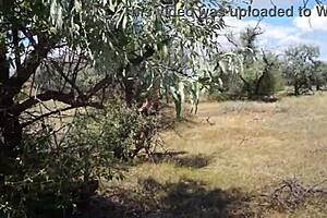 Savannah vixen explores mature outdoor adventures