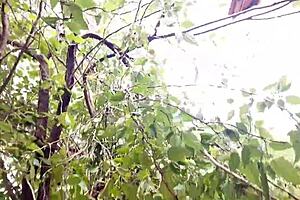 Whoa, she had no clue her neighbor packed a huge BBC and craved deep anal pounding