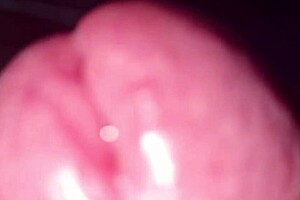 Solo anal masturbation with fingers in ass leads to huge cum load. Moans and hot dialogues build intense teasing.