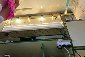 Specific Super Cute Teen Step Daughter Voyeur Hidden Cam Upskirt At Work