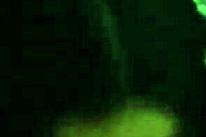 while her parents were out, the young brunette amateur with small natural tits enjoyed getting her sexy ass fucked at home