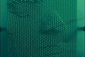 Guy Screams Harsh Noise In The Middle Of Pop Song In Brutal California Music Scene