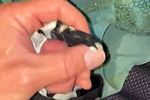 Hey, you ever play with your friend's wife's soaked panties like this?