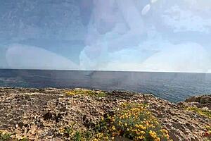 Sexy Young 18+ Skinny Student Girl Fucked by Older Guy Outdoor 4K