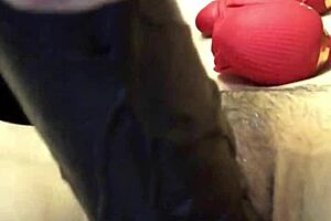 The Pussy And Ass Love To Play