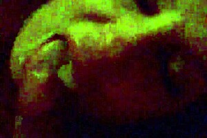 My STEPSIS Maggie SUCKS COCK After PARTY And Gets BENT OVER DOGGY!