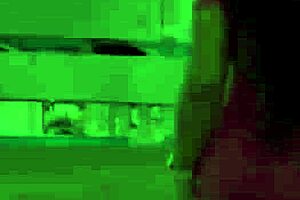 brazilian wifey cameltoe leggings pool flash for you guys 🔥😉