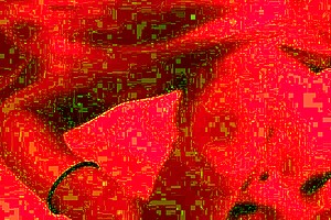 Monika Fox POV Anal Fisting Prolapse Huge Dildo Blowjob