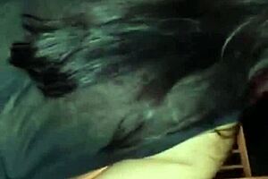 indonesian janda's fat ass and big tits get fucked hard!