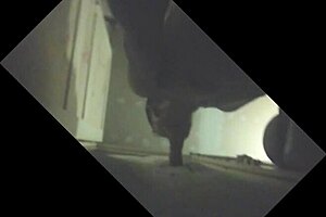 Amateurs boyfriends fuck in homemade scene at gloryhole