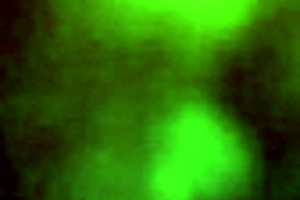 i spied on my neighboor fucking in the bathrooom