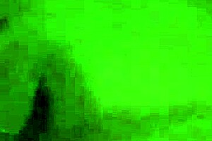 brunette sucks dick hard in amateur blowjob scene. watch her take the cumshot!