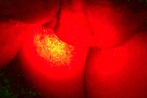 Presente Do Dias Dos Namorados